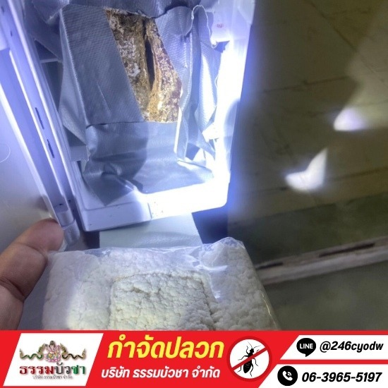 กำจัดปลวกด้วยระบบเหยื่อ นครปฐม กำจัดปลวกด้วยระบบเหยื่อ นครปฐม  กำจัดปลวกนครปฐม  บริษัทกำจัดปลวก นครปฐม  บริการกำจัดปลวก และแมลง  บริการกำจัดปลวกด้วยระบบเหยื่อล่อ 